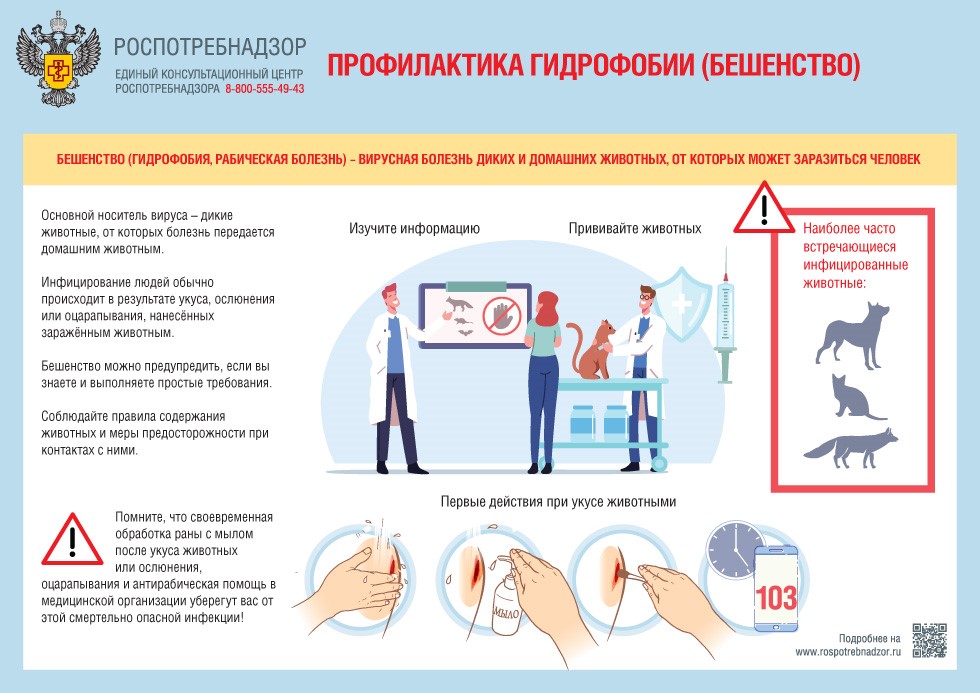 Бешенство.jpg Бешенство.jpg