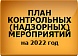 План контрольных (надзорных) мероприятий на 2022