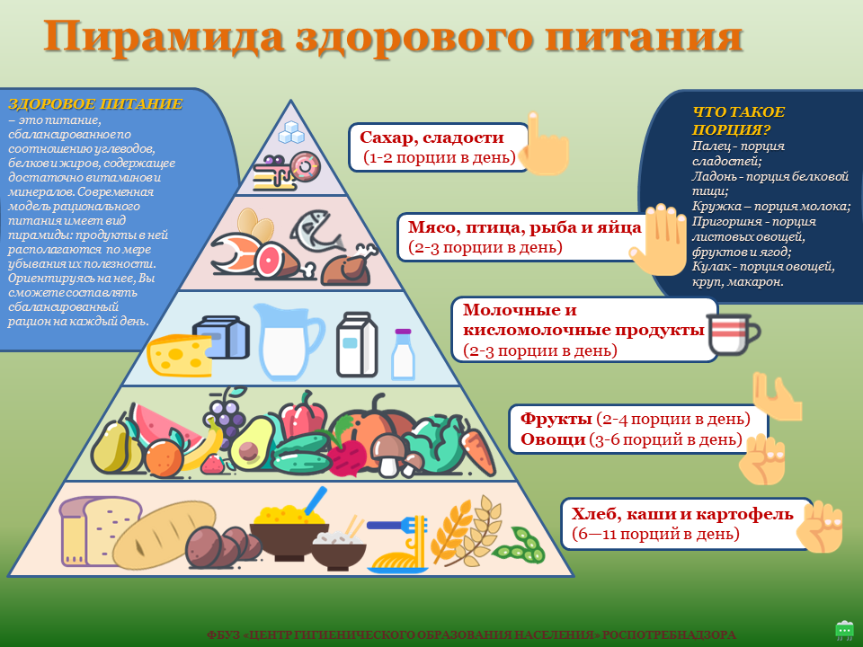пирамида здорового питания.png