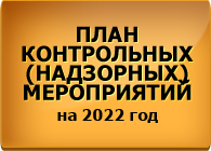 План контрольных (надзорных) мероприятий на 2022