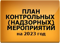 План контрольных (надзорных) мероприятий на 2023 год