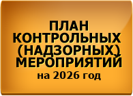 План контрольных (надзорных) мероприятий на 2026 год