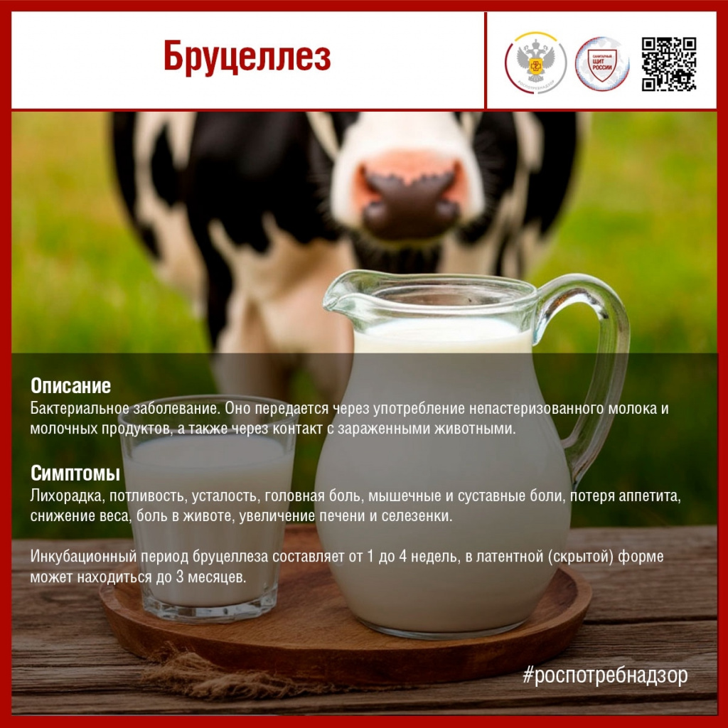 EPdHO7c1e9kq3d29I5qaTVoKuyw-PQZbNvDeaUNcMLDyx2aie4klwmfbEvOGUqyb3fp-HMENc0Sh0GumEFtyuOb7.jpg