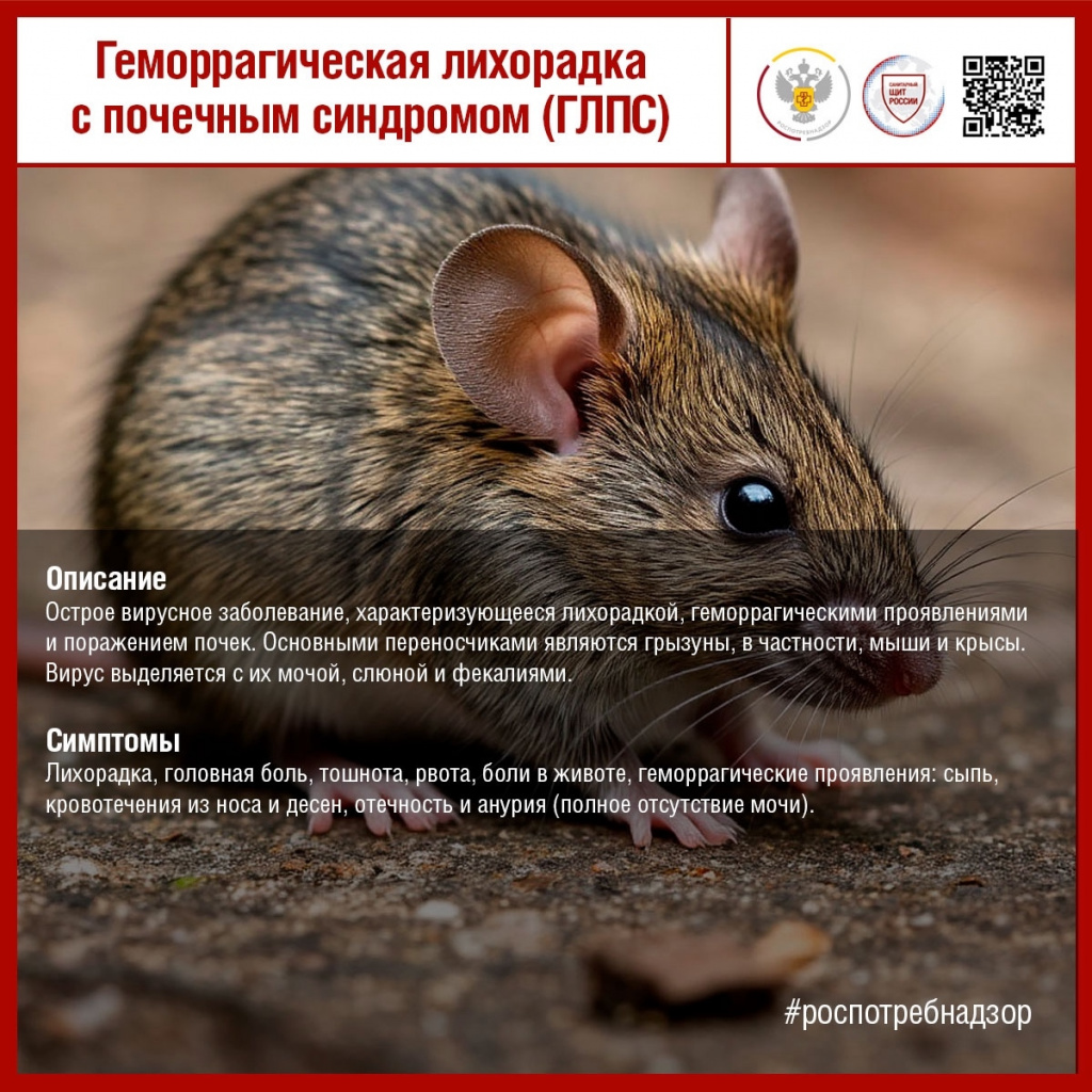 rftyD7V9bwTR0wOv4xnR5HpFV75miAr196BvYIrOaETvyGg4Fimcu4RMw3zVxqh4ZVN1T_eh0fxM9Wa-2TZBHfzS.jpg