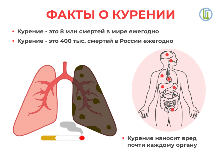 кур.png