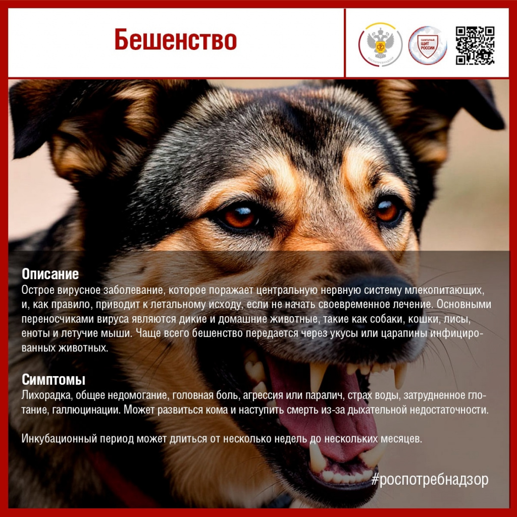 YVmnM2eNSs6ICxF8m8xa-tuobN_VYEli_bz9BW0trReTIi669I5sNAB5jaN8bVHG4FFd3xa4SvEg8pHfmALwvFkw (1).jpg