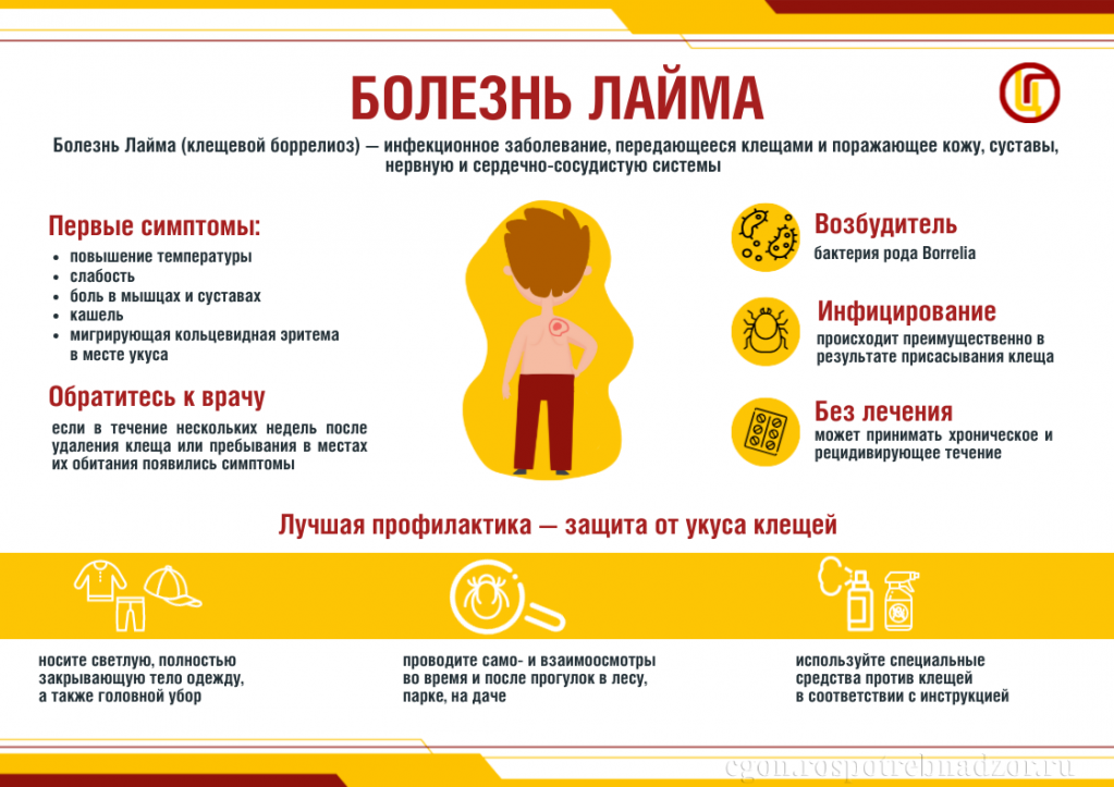 лайма.png