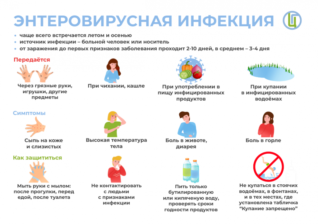 Энтеровирус.png